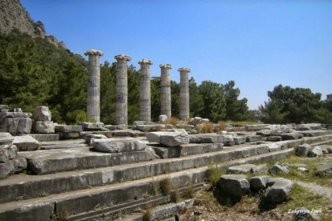 Private PMD Tour - Priene - Miletus - Didyma (Kusadasi Port)